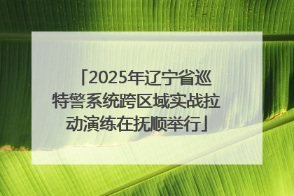 2025年辽宁省巡特警系统跨区域实战拉动演练在抚顺举行