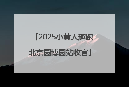 2025小黄人趣跑北京园博园站收官