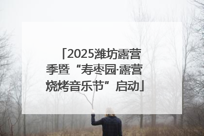 2025潍坊露营季暨“寿枣园·露营烧烤音乐节”启动