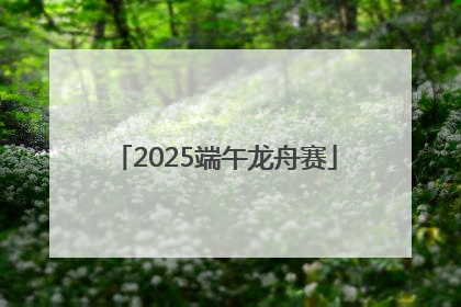 2025端午龙舟赛