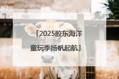 2025胶东海洋童玩季扬帆起航