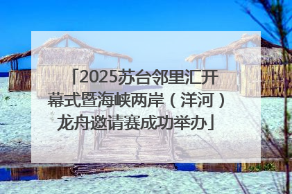 2025苏台邻里汇开幕式暨海峡两岸（洋河）龙舟邀请赛成功举办