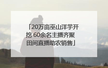 20万亩巫山洋芋开挖 60余名主播齐聚田间直播助农销售