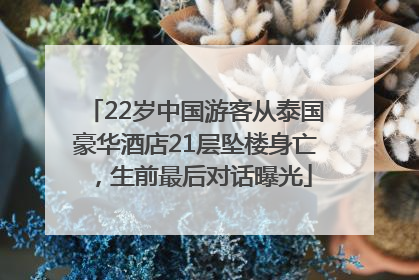 22岁中国游客从泰国豪华酒店21层坠楼身亡，生前最后对话曝光