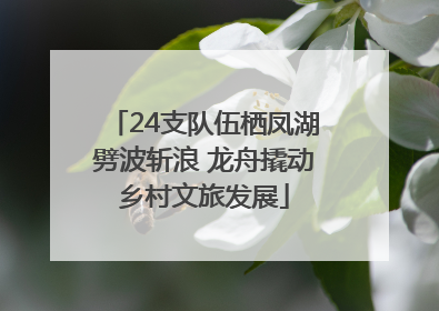 24支队伍栖凤湖劈波斩浪 龙舟撬动乡村文旅发展