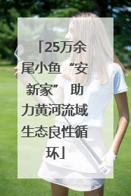 25万余尾小鱼“安新家” 助力黄河流域生态良性循环
