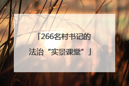 266名村书记的法治“实景课堂”