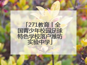 271教育丨全国青少年校园足球特色学校落户潍坊实验中学