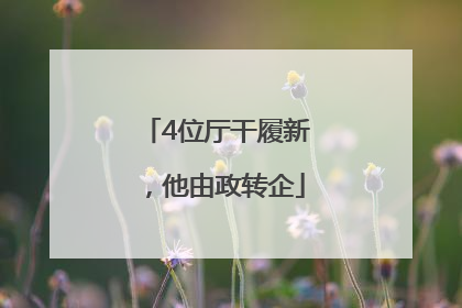 4位厅干履新，他由政转企