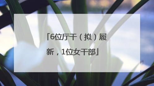 6位厅干（拟）履新，1位女干部