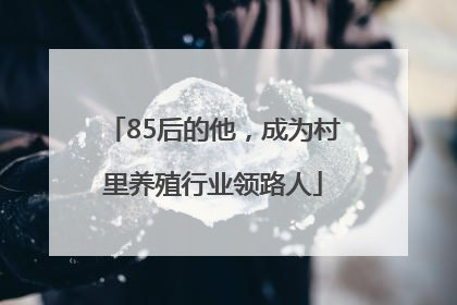 85后的他，成为村里养殖行业领路人