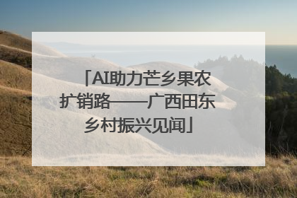 AI助力芒乡果农扩销路——广西田东乡村振兴见闻