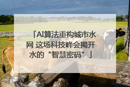 AI算法重构城市水网 这场科技峰会揭开水的“智慧密码”
