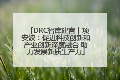 DRC智库建言丨项安波：促进科技创新和产业创新深度融合 助力发展新质生产力