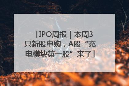 IPO周报｜本周3只新股申购，A股“充电模块第一股”来了