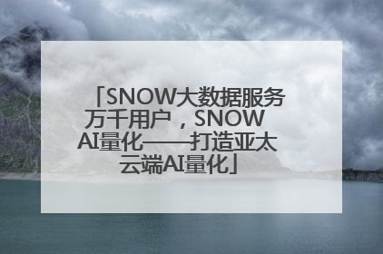 SNOW大数据服务万千用户，SNOW AI量化——打造亚太云端AI量化