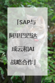 SAP与阿里巴巴达成云和AI战略合作